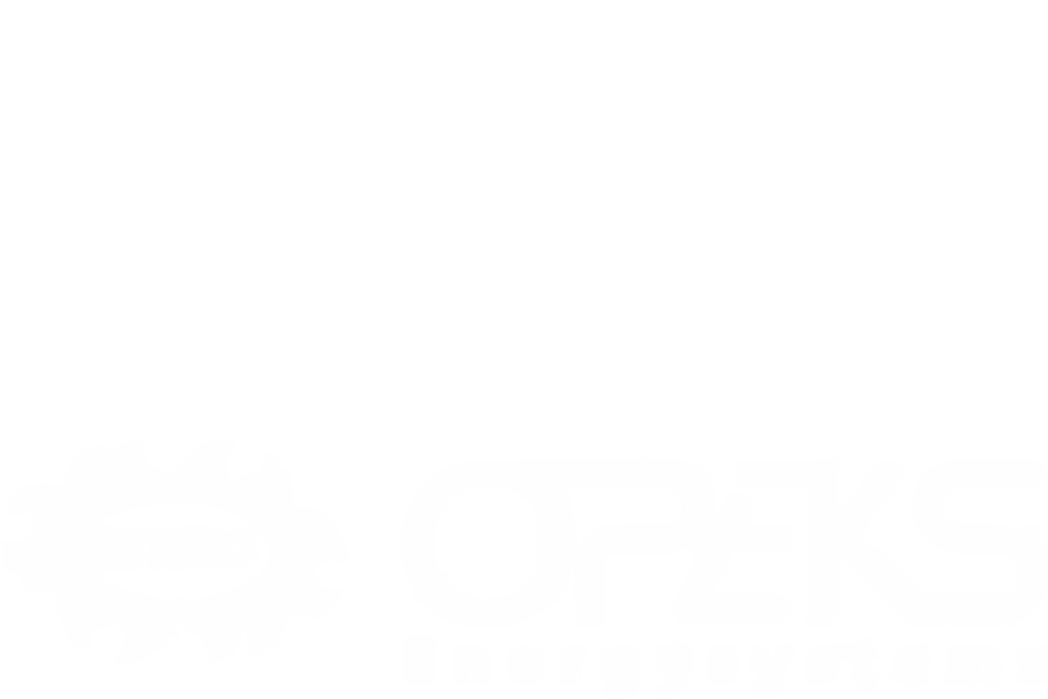Логотип компанії Opeks energysystems, наш партнер